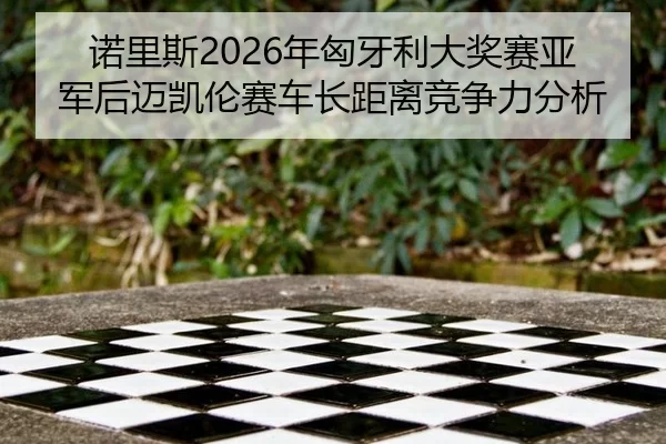 nuo-li-si-nian-xiong-ya-li-da-jiang-sai-ya-jun-hou-mai-kai-lun-sai-che-zhang-ju-li-jing-zheng-li-fen-xi-2-331.jpg