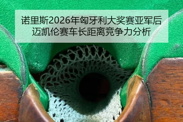 诺里斯2026年匈牙利大奖赛亚军后迈凯伦赛车长距离竞争力分析